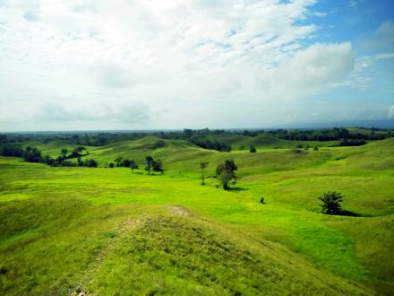 Album : Panorama Bukit Teletubies Desa Tinabite